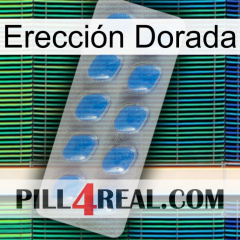 Erección Dorada 22